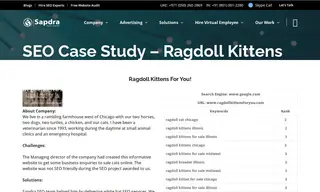 Preview of the Ragdoll Kittens For You Case Study