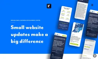 Preview of the Indiana Small Business Development Center Case Study