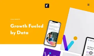 Preview of the Viable Insights Case Study