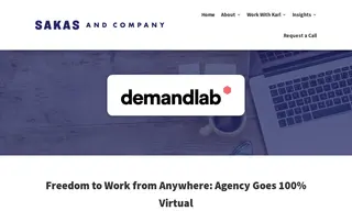 Preview of the DemandLab Case Study
