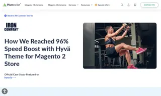 Preview of the Iron Case Study