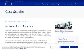 Preview of the Novelis Case Study