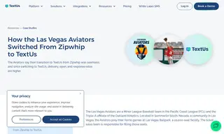 Preview of the Las Vegas Aviators Case Study