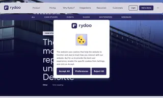 Preview of the Deloitte Belgium Case Study