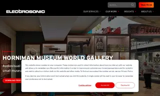 Preview of the Horniman Museum World Gallery Case Study