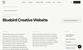 Preview of the Bluebird Creative Case Study