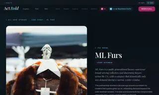 Preview of the ML Furs Case Study