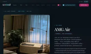 Preview of the AMG Air (Air Marketing Group) Case Study