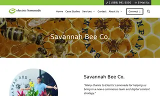 Preview of the Savannah Bee Company Case Study