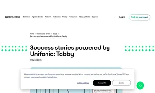 Preview of the Tabby Case Study