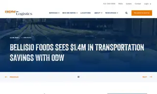 Preview of the Bellisio Foods Case Study