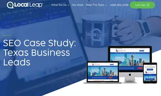 Preview of the Texas Business Leads Case Study