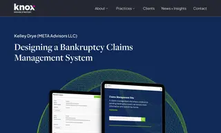 Preview of the META Advisors LLC Case Study