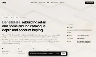 Preview of the Denelli Italia Case Study