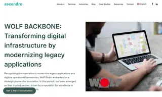 Preview of the Wolf GmbH Case Study
