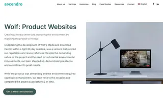 Preview of the Wolf GmbH Case Study