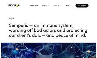 Preview of the Semperis Case Study