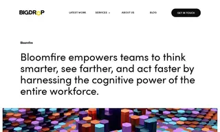 Preview of the Bloomfire Case Study