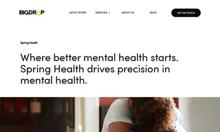 Preview of the Spring Health Case Study