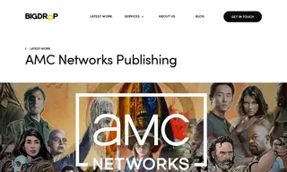 Preview of the AMC Publications Case Study