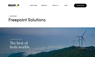 Preview of the Freepoint Solutions Case Study