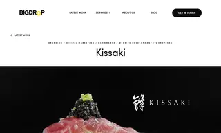 Preview of the Kissaki Case Study