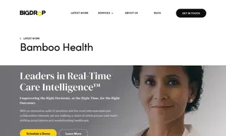 Preview of the Bamboo Health Case Study