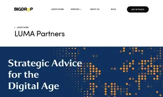 Preview of the LUMA Partners Case Study