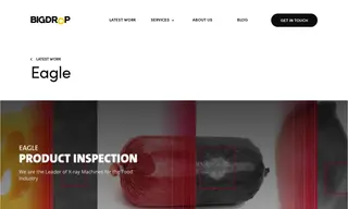 Preview of the Eagle Product Inspection Case Study