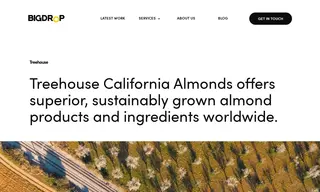 Preview of the Treehouse California Almonds Case Study