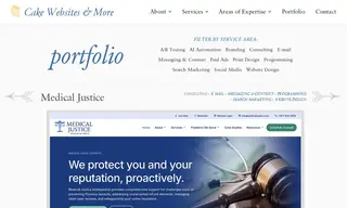 Preview of the Medical Justice Case Study