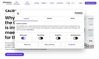 Preview of the Calida Group Case Study