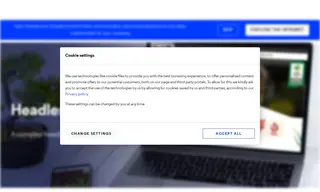 Preview of the PZPN (The Polish Football Association) Case Study
