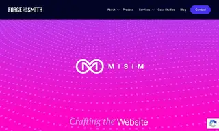 Preview of the Misim Case Study