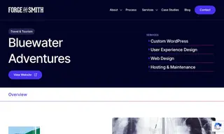 Preview of the Bluewater Adventures Case Study
