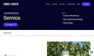 Preview of the Semios Case Study