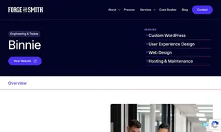Preview of the Binnie Case Study