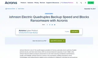 Preview of the Johnson Electric Case Study