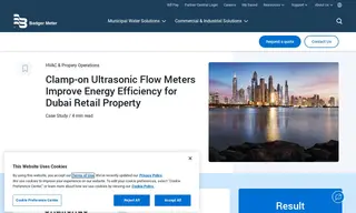 Preview of the Dubai Mall Case Study