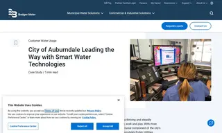 Preview of the City of Auburndale Case Study