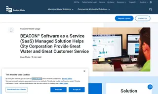 Preview of the City Corporation Case Study