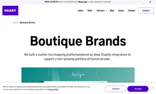 Preview of the Boutique Brands Case Study