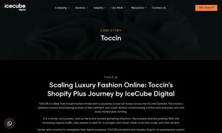 Preview of the Toccin Case Study