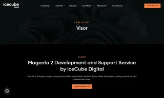 Preview of the Visor AS Case Study