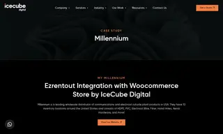 Preview of the Millennium Case Study