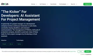 Preview of the The Company (IT Production Company) Case Study