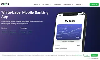 Preview of the Silicon Valley-based Digital Banking Services Provider Case Study