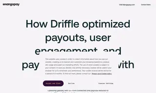 Preview of the Driffle Case Study