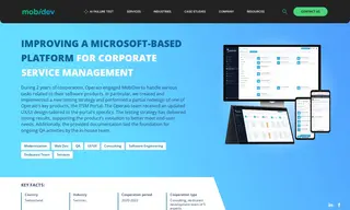 Preview of the Operaio GmbH Case Study
