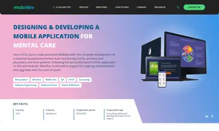 Preview of the Mood Cow Case Study